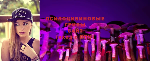 Альфа ПВП Лиски