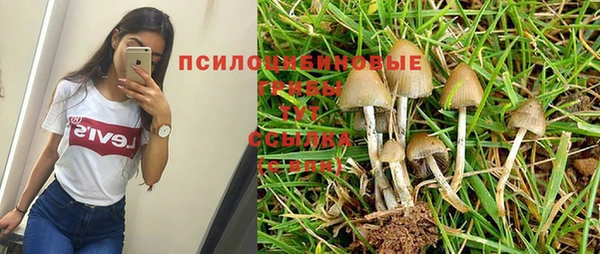 экстази Лихославль