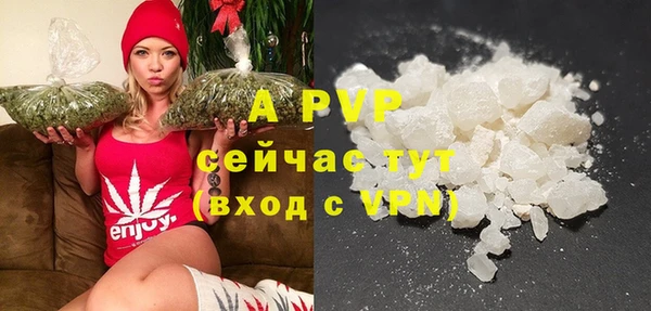 спиды Липки