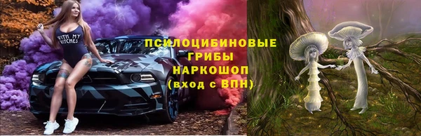 Альфа ПВП Лиски
