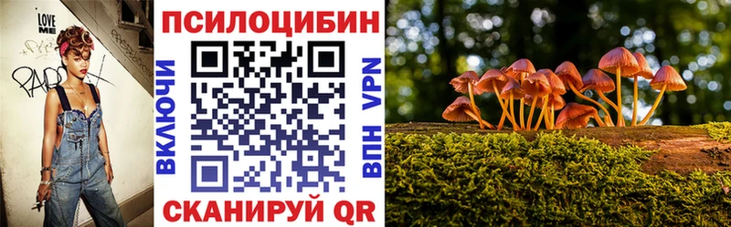 Галлюциногенные грибы мухоморы  купить   Сорск 
